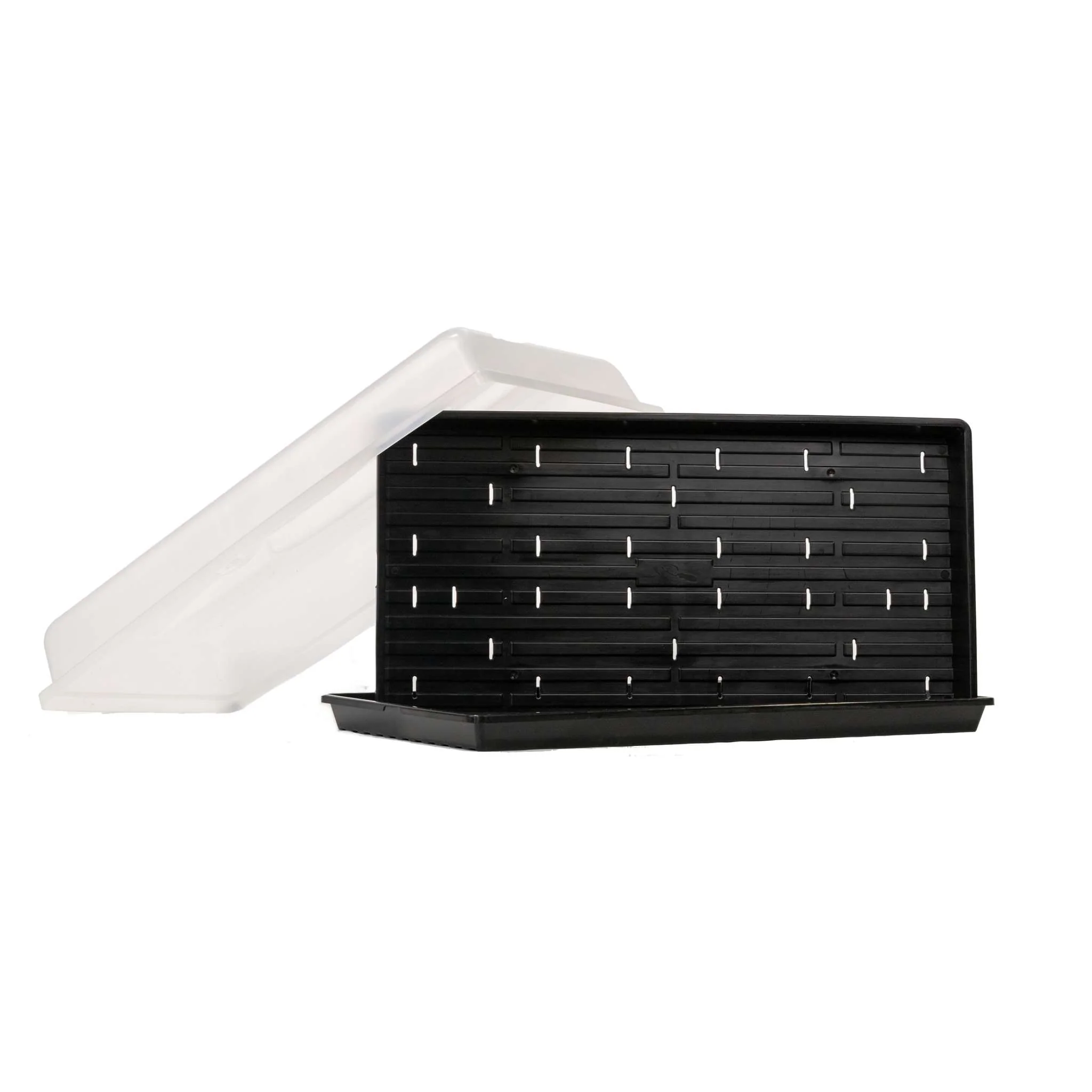 Seed Starter Kits & Bundles